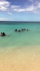 PLAYA BAHIA DE LAS AGUILAS PROVINCIA PEDERNALES REGION SUR REPUBLICA DOMINICANA