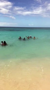 PLAYA BAHIA DE LAS AGUILAS PROVINCIA PEDERNALES REGION SUR REPUBLICA DOMINICANA