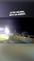 This cop saved her dog’s life