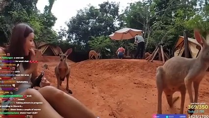 Selfies Taken Moments Before Trouble