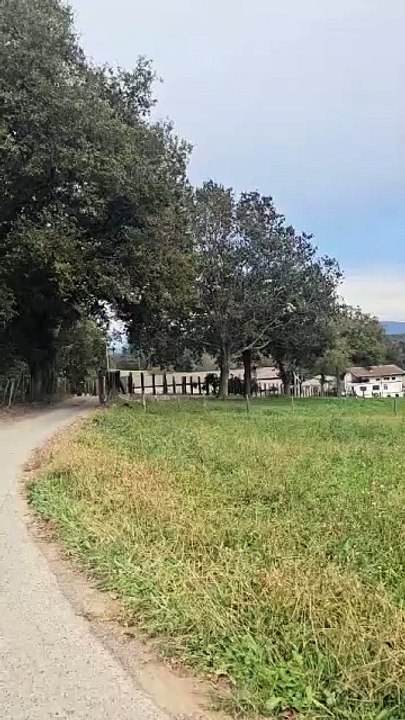 Bicycle 2