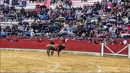 Festival Jaén 2-3-2025