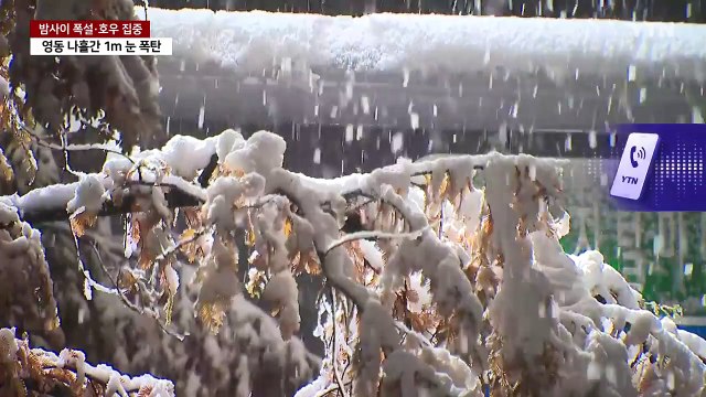 [날씨] 밤사이 폭설·호우 집중...영동 나흘간 1m 눈 폭탄 / YTN