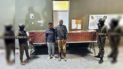 Decomisa 1,021 cajas de cigarrillos transportados en mulos