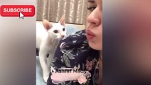 funny animls
