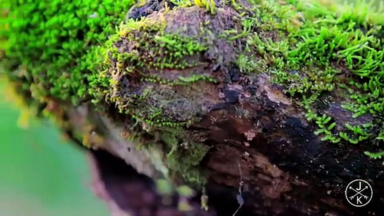 COSTA RICA IN 4K 60fps HDR (ULTRA HD)