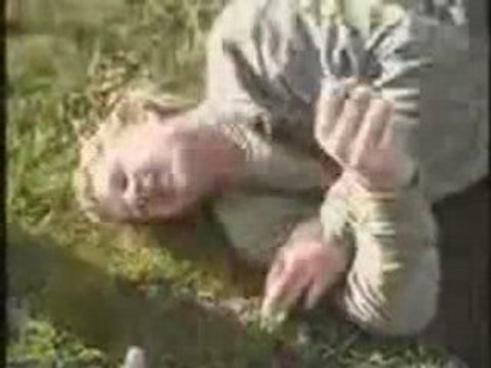 Accident de cerf-volant