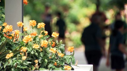 Northern Territory’s CLP government confirms plan to scrap Labor’s hate speech changes