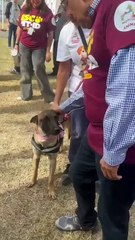 Escobedo Pet ID, el programa de mascotas para evitar perderlas con código QR en Nuevo León
