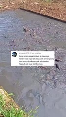 Sumber air untuk mengairi kolam sesuai dengan jenis kolamnya