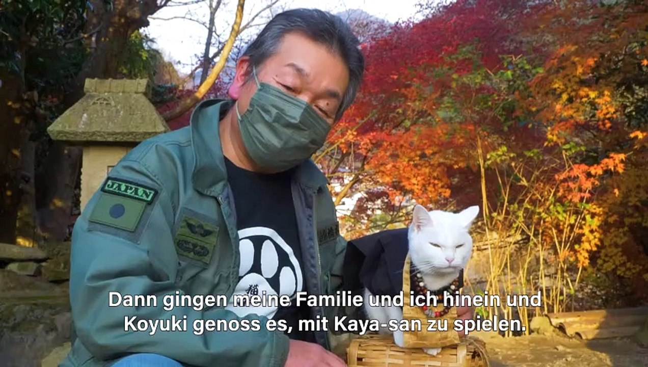 Koyuki, die Mönchskatze