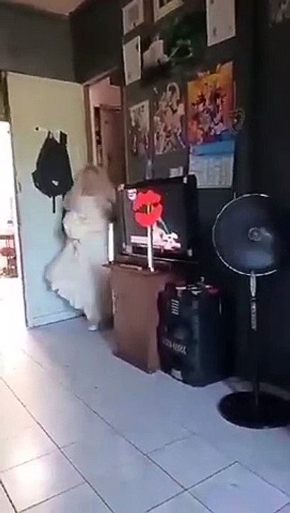 ❤️❤️❤️