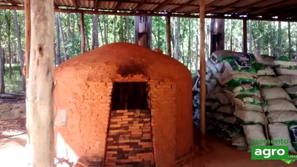 Extrato Pirolenhoso - Agricultura convecional a caminho do 'Orgânico'