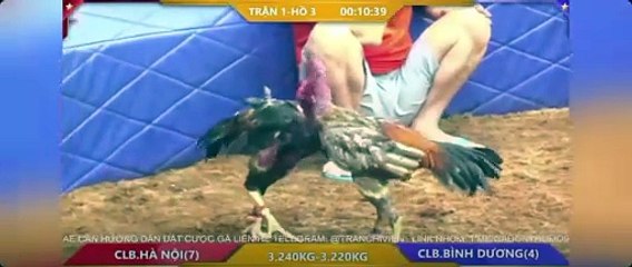 CLB Bình Dương  - CLB Hà Nội (Hồ 3)