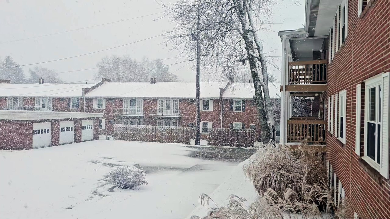 ❄️ ❄️