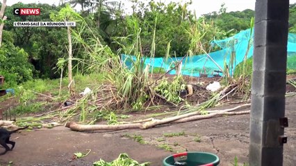 Cyclone à la Réunion : l'heure de la reconstruction
