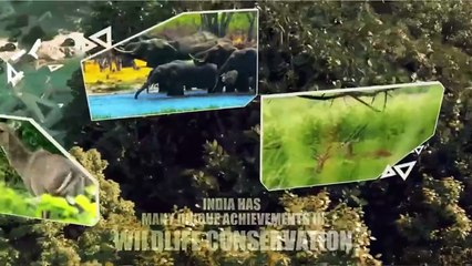 Watch: PM Modi goes on lion safari in Gujarat's Gir on World Wildlife Day