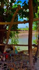 Amazing Dadu Canal Village Phulpota, Sindh   #reels #shorts #maxrecords