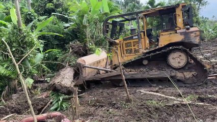 Forest Clearance Steps with the D6R XL Bulldozer