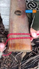 How to tie a great knot for swing #knotshort