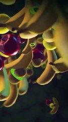 Balancing your diet the right way! 🥛🍗