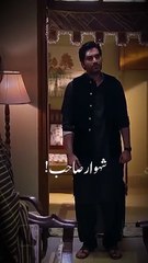 " "🥺💔 #meraypaastumho #lyrics #shorts #ost #ayezakhan #humayunsaeed