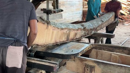 Steps to Sawing a Coconut Tree to 2x20 Size