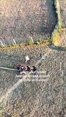 Their hot air balloon ride was a disaster