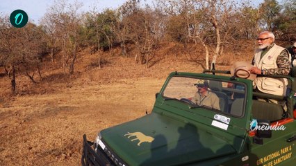 ಗಿರ್ ವನ್ಯಜೀವಿ ಅಭಯಾರಣ್ಯದಲ್ಲಿ ಸಿಂಹ ಸಫಾರಿ ಮಾಡಿದ ಮೋದಿ