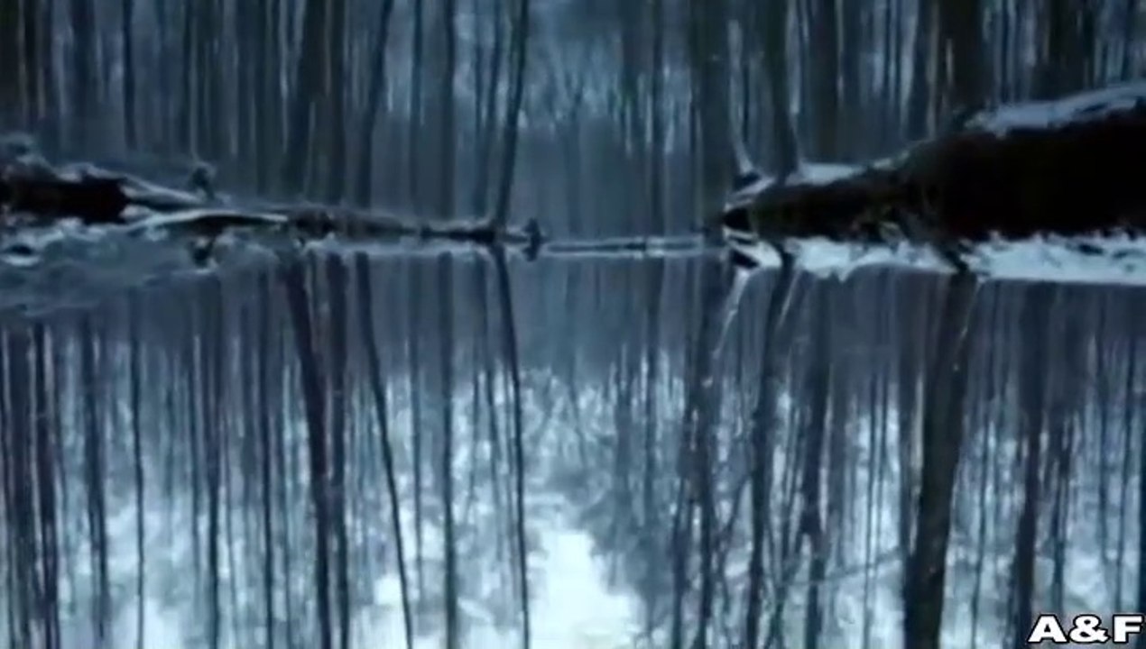 Spreewaldkrimi -02- Der Tote im Spreewald