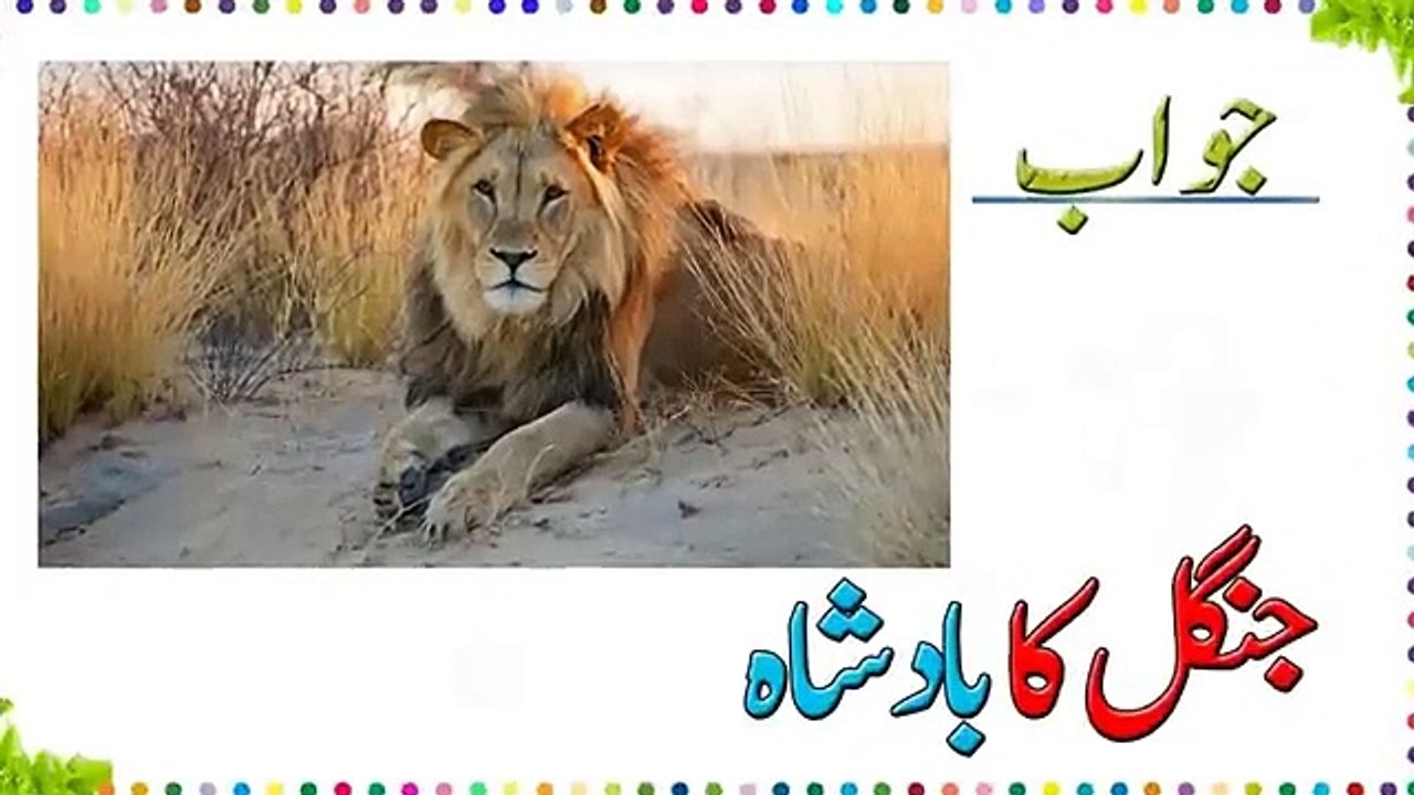 Paheliyan In Urdu With Answer - Riddles In Urdu & Hindi - Amazing Facts & Brain Facts In Urdu