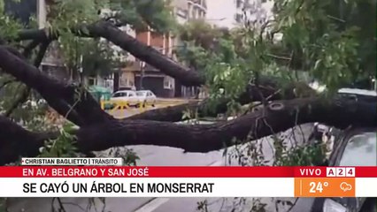 Caída de árboles y cortes de tráfico en Buenos Aires por condiciones climáticas