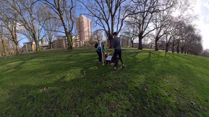 The first-ever all dog relay race has taken place to celebrate the start of Crufts