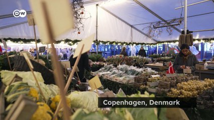 How Science and Ethics Are Saving Heirloom Potatoes for Future Generations 🌱