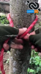 Clever quick release knot for camping survival #knoshort