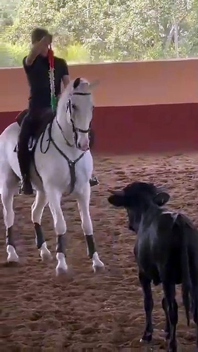 WhatsApp Video 2025-03-01 at 14.12.54
