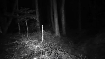 Sou oficial de busca e resgate do Serviço Florestal dos EUA, tenho algumas histórias para contar 10