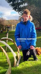 Teen Discovers Hidden WWII Plane in Backyard ✈️