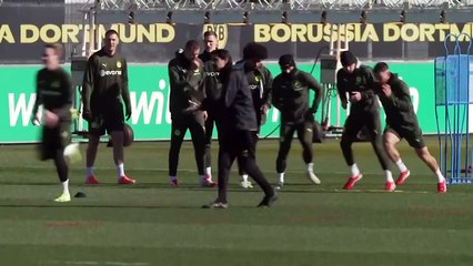 Ligue des Champions : Dortmund sérieux à l'entraînement avec d'affronter le LOSC