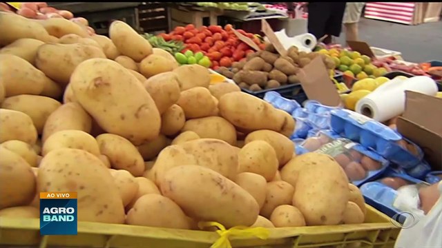 Giro Brasil: VBP agropecuário, carimbo em ovos, início da colheita da soja no RS