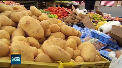 Giro Brasil: VBP agropecuário, carimbo em ovos, início da colheita da soja no RS