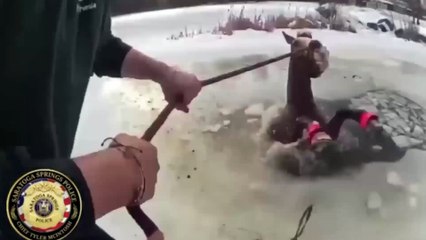 El tenso rescate de un caballo que cae a un lago helado