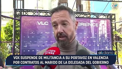 Vox suspende de militancia a su portavoz en Valencia por contratos al marido de la delegada del Gobierno