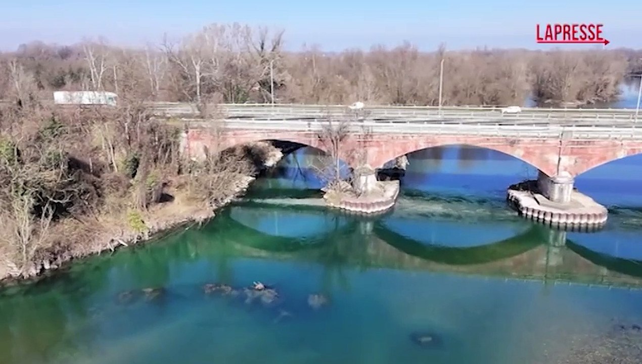 Babysitter scomparsa a Milano, il luogo del ritrovamento di un cadavere nell'Adda: le immagini del drone