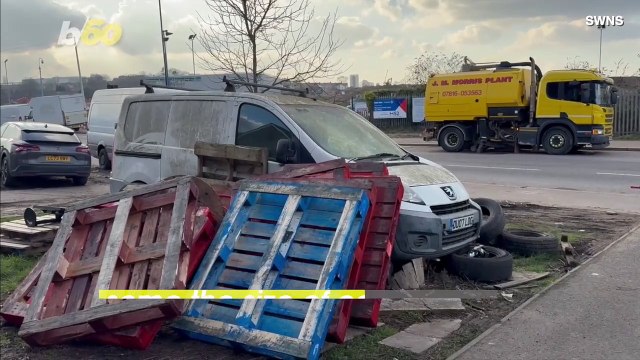 Rats the Size of Cats Wreak Havoc on Cars as They Invade City During Trash Strikes