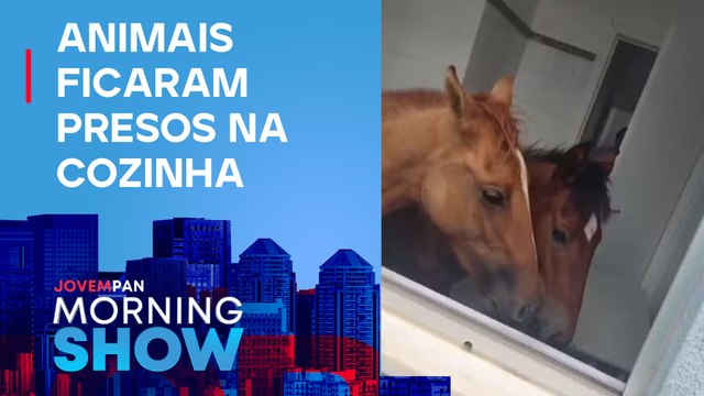 CAVALOS invadem POSTO de saúde em Minas Gerais