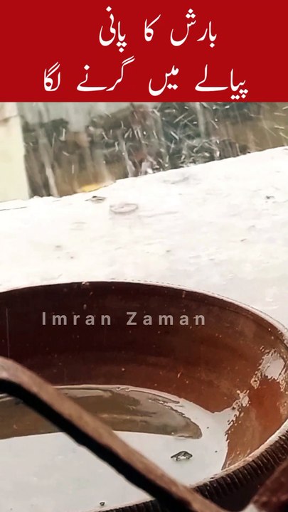 Barish ka Pani Pyala me bharny laga 😊
