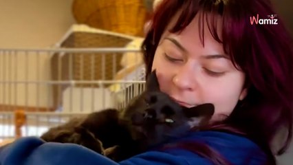 Shelter staff shocked when they learn why sweet Ravi was given up for re-homing