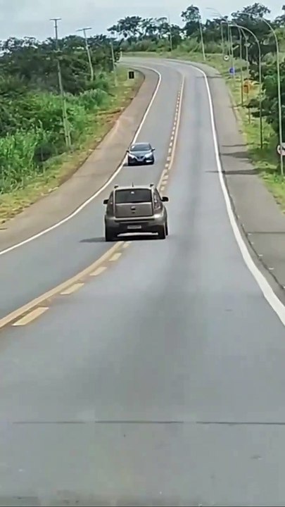 Veja momento em que motorista perde controle, atropela pedestre e morre ao bater em árvore
