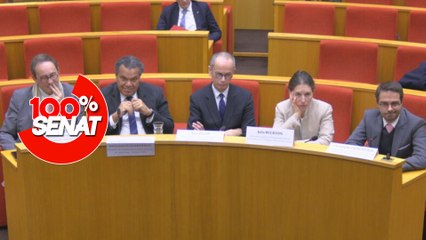 100% Sénat - Situation des musées : les directeurs sonnent l'alarme